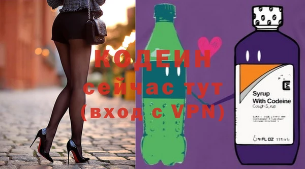 молекула духа Ладушкин