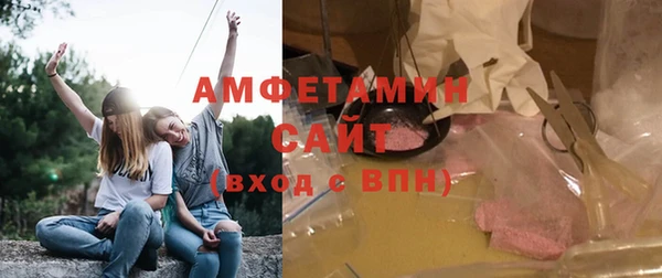 молекула духа Ладушкин