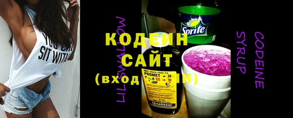 молекула духа Ладушкин