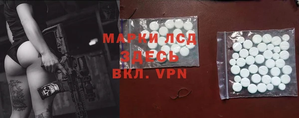 молекула духа Ладушкин
