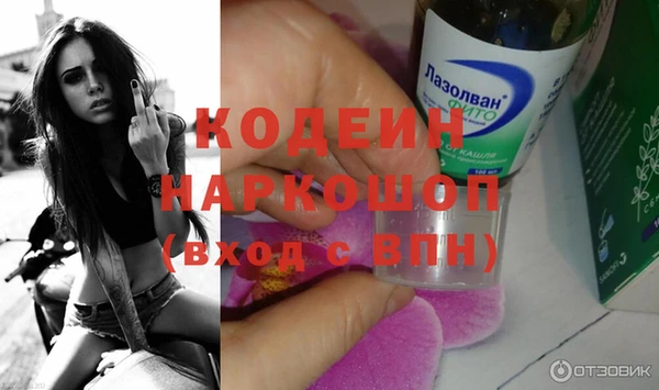 молекула духа Ладушкин