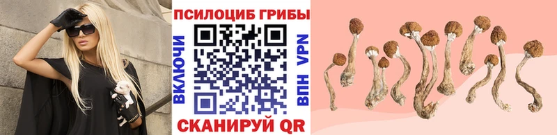 Галлюциногенные грибы мухоморы  наркотики  Усть-Катав 